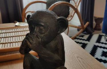 Le TROPICA Appartement 2 chambres, plein Sud centre ville de VITRÉ - Foto 25