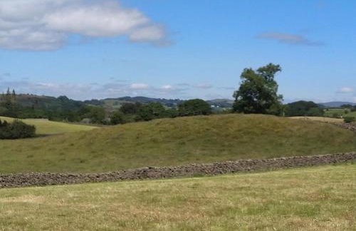 The Orchards - Foto 30