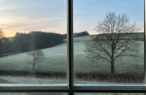 Cosy Devon Hut Woodland Views - Photo 15