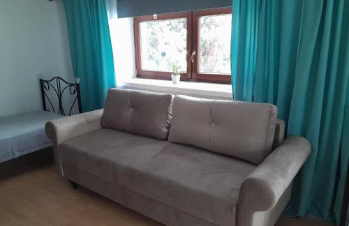 Dąbrowski - Photo 6