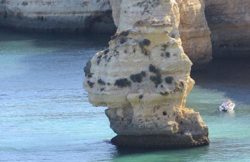 OCEAN TERRACES by VILA GAIVOTA D - Foto 35