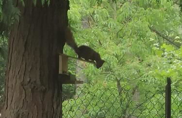 Sunny House -Charming apartment in the nature - Foto 32