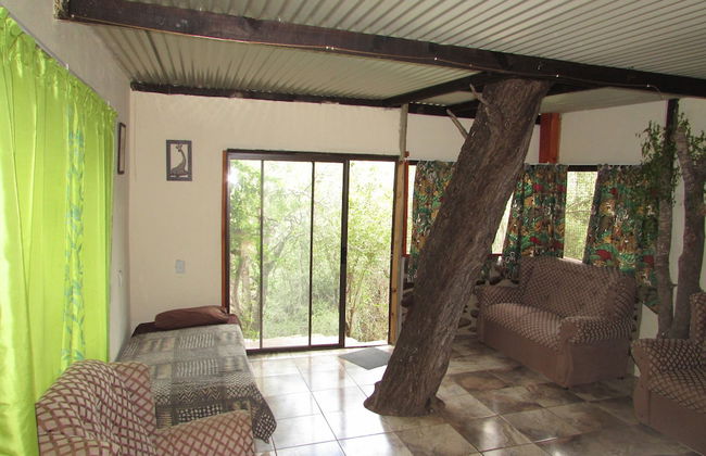 Amazing Tree in Lounge Eco Apartment With Leopards Passing by at Night - Foto 8