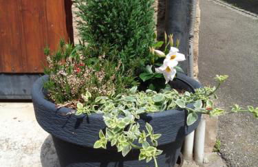 Studio Gite Fischer Ottrott - Photo 10