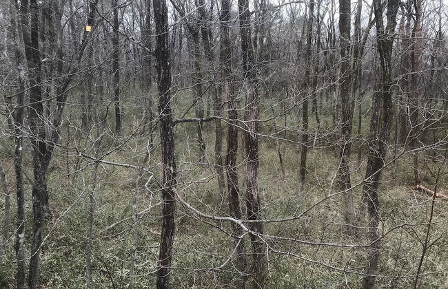 Nasukogen Bungalow - Foto 6