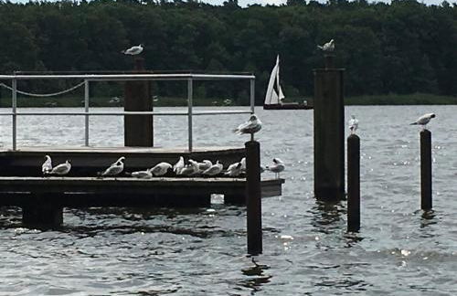 Lakeview Appartements - Foto 33