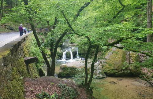 Ferienhaus Chalet Cottage Ourtalblick 2km von Vianden-Lux - Foto 3