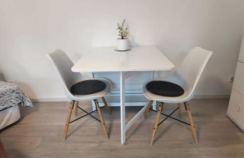 Helle Ferienwohnung mit Garten in ruhiger Lage Nähe Main und City - Foto 4