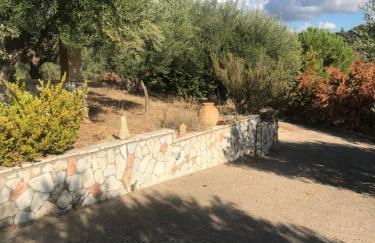 Mountain House near Pyrgos Ilias - Photo 37