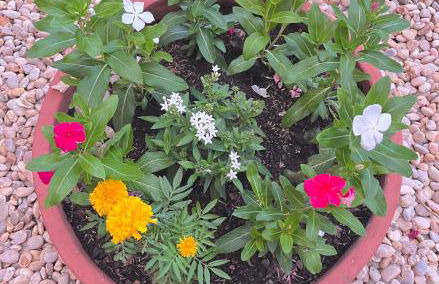 Casa familiar na 405 - Palmas - Foto 25