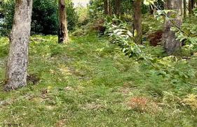 The Cliffs - The Painted Mill - Foto 21