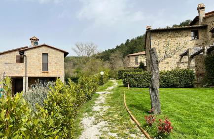 Uva - Poderone - Foto 10