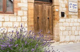 Il Sogno di Tino - Foto 7