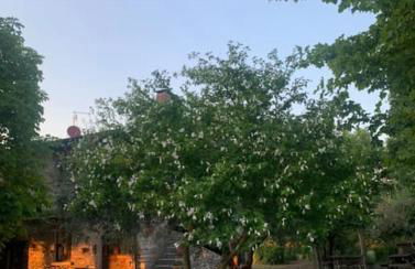 Casale Piantata Orte con piscina - Foto 77