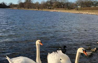 Ferienwohnung Möwenblick - Foto 42