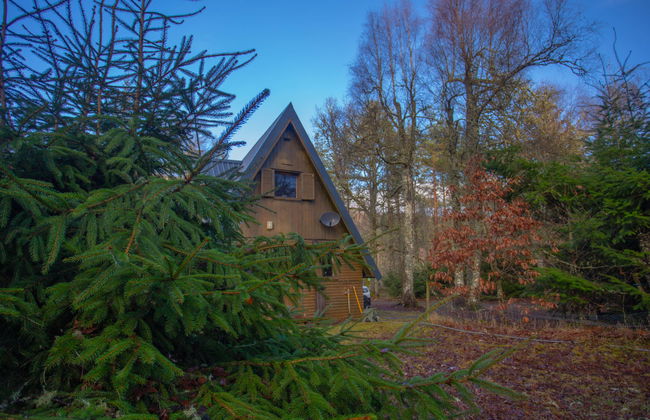 Birchwood Cottage - Foto 4
