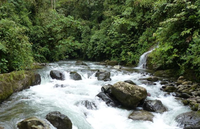 Mindo Eco chalet - Foto 28