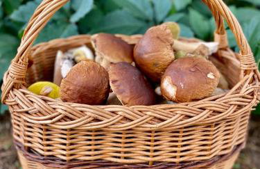 Dom Dwa Jeziora - Augustów - Photo 44