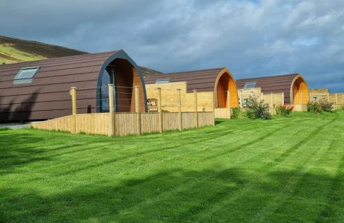 Lilly's Lodges Orkney Robin Lodge - Photo 2