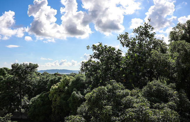 Rochester Modern Chic Apartment - Photo 41