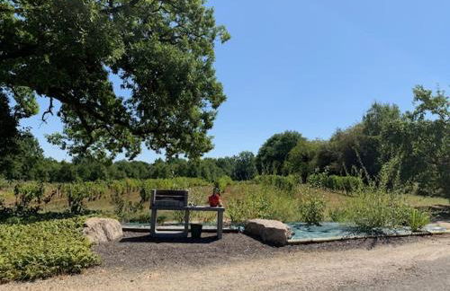 gîte côté vallée - Foto 15