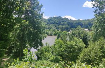 Queen bee's nest - Foto 14