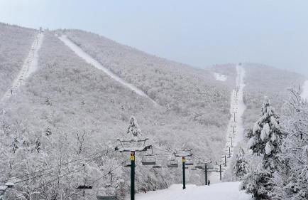 Moonlight Woods - Gardener's Log Cabin - Foto 31