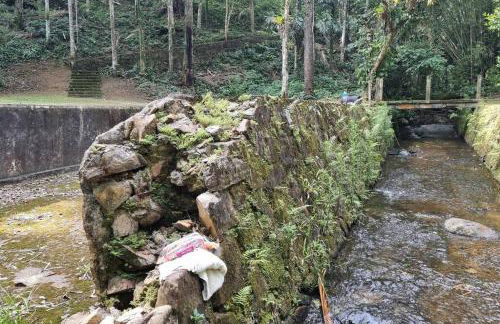 Natureza Instagrmável Casa Penedo - Photo 32