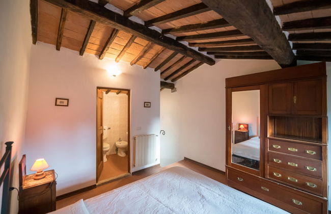 Fattoria di Cintoia - Photo 18