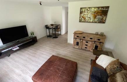 Nagelneue gemütliche 2-Zi-Wohnung - Foto 5