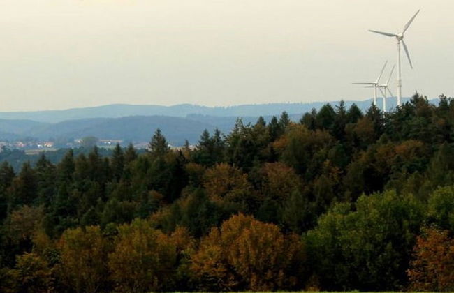 Relaxing Holiday Home in Willersdorf in the Forest - Photo 77