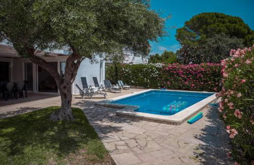 17 L Olivier - Foto 2