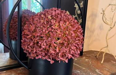 Le mas contemporain de Dun - Photo 27