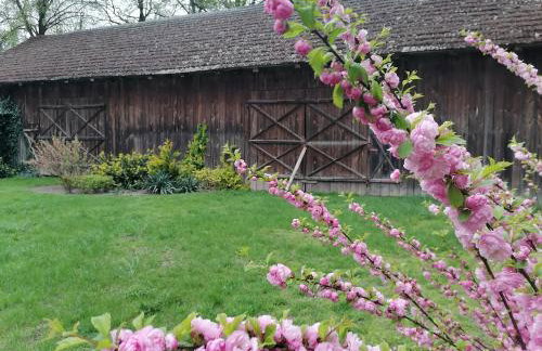 Domek na wsi Wiejsko Czarodziejsko - Agroturystyka Podlasie - Foto 62