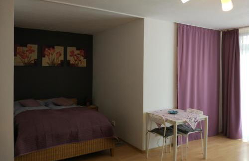 HAUSBURG studio. City view - Foto 11