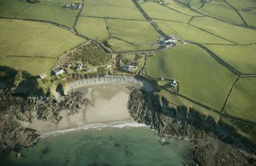 Oyster Catcher - Foto 1