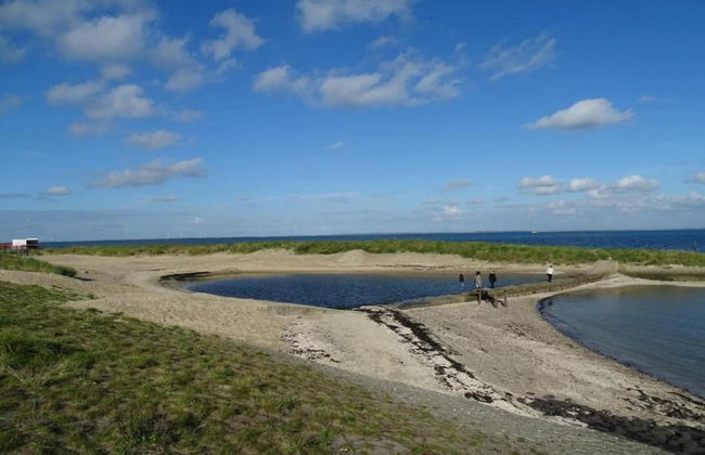 Holiday Home Wissenkerke Near Nature Reserve - Foto 34