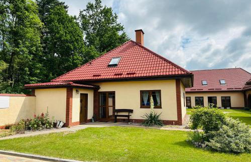 Pod skrzydłami - Foto 6