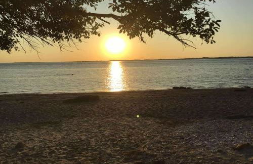 île Bacchus - Foto 15