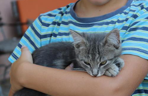 Beim Danner - Foto 20