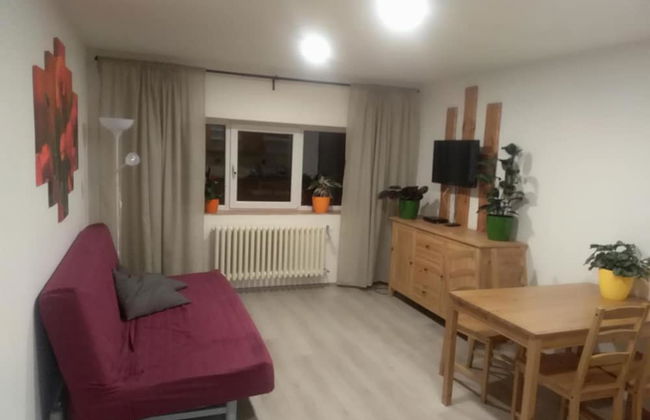 Zoopark Zelčín - Foto 15