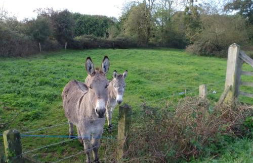 Maison de vacances 3 chambres à 400 m de la plage Kairon - Saint Pair sur mer - Foto 50