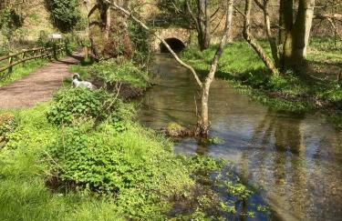 Unique Artists studio with a private garden. - Foto 22