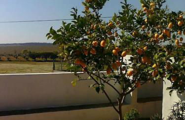 Casa da Tia Luísa - Foto 31