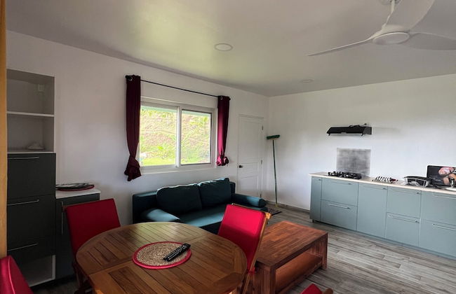 Painapo - Mirimiri Lodge - Photo 18