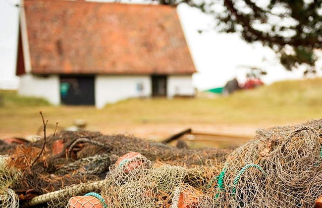 6 Person Holiday Home in Degeberga-by Traum - Foto 29