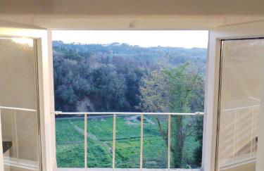 Ciliegia di Lari - Attico - Foto 8