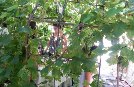 Agriturismo il Quadrifoglio - Foto 38