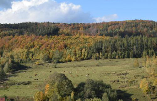 Domek Chmielnik - Foto 21