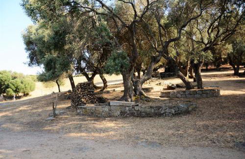 Stazzu Spadulagliu near Olbia - Foto 26